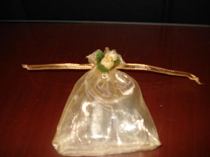 Mini gold bag