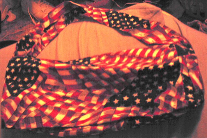 Stars and Stripes Purse