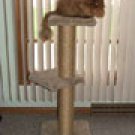 Double Pedestal Double Pedestal