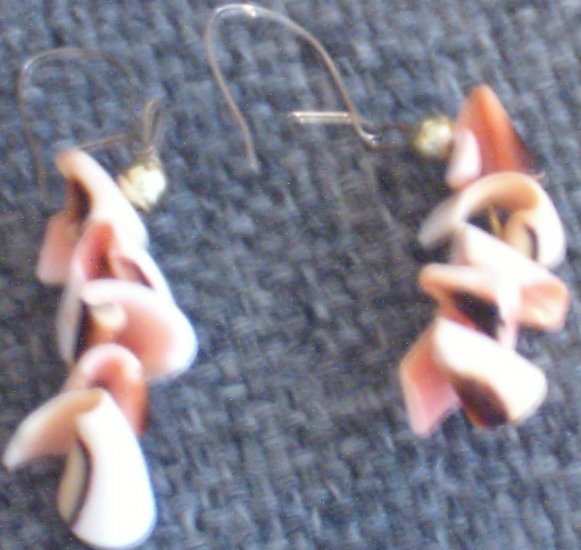 Authentic Hawaiian Shell Earrings