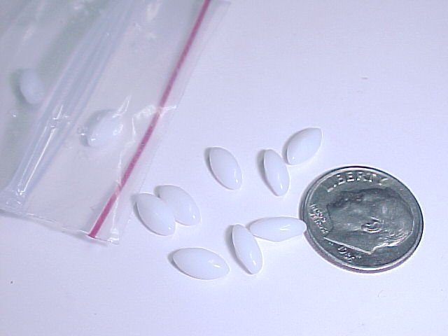 Opaque White Navette Stones 8x4mm 12Pcs S144 tnk-ent
