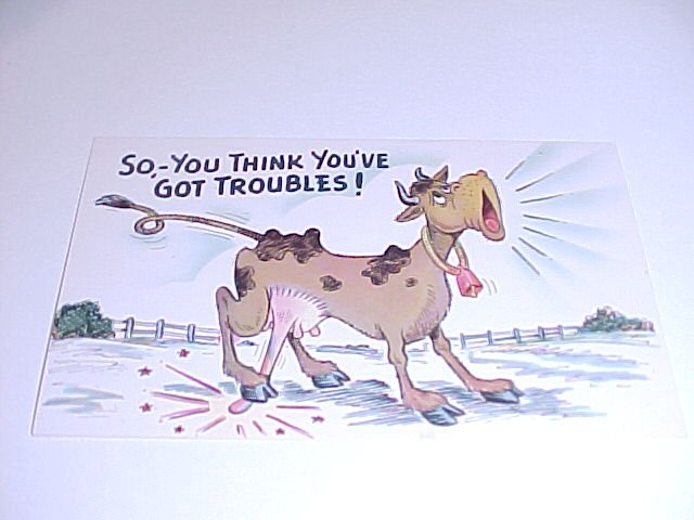 Vintage Humor Post Card postcard #PCF tnk-ent
