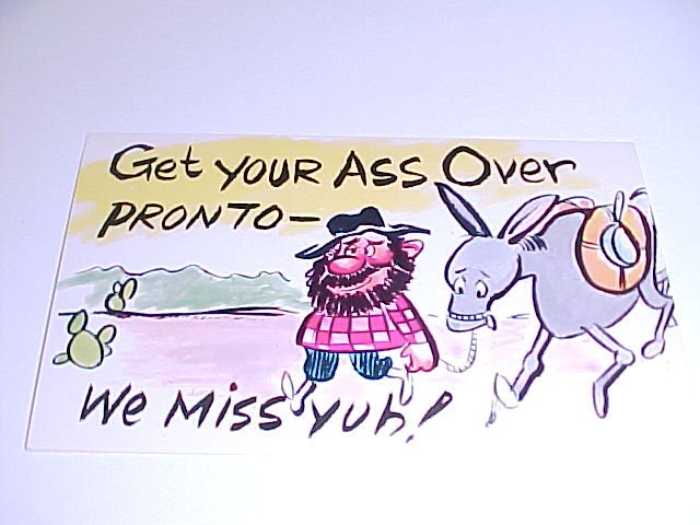Vintage Humor Post Card postcard #PCD tnk-ent
