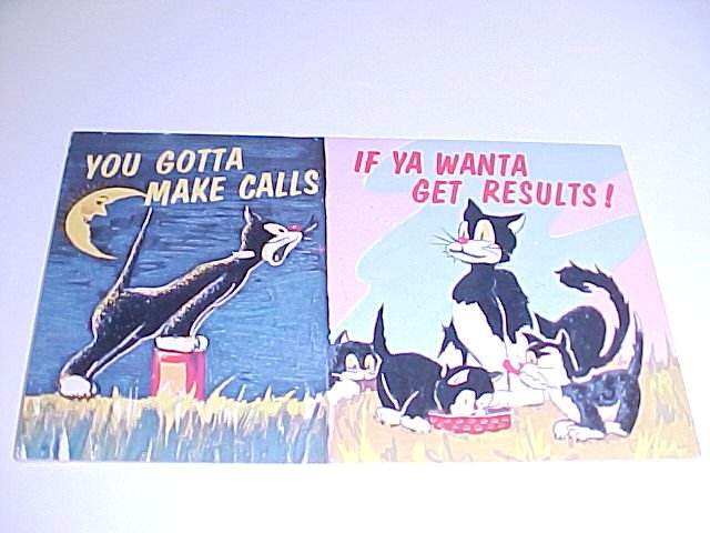 Vintage Humor Post Card postcard #PCH tnk-ent