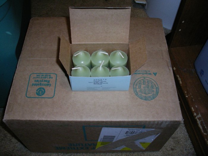 Box of 6 Wild Fern Partylite Votives