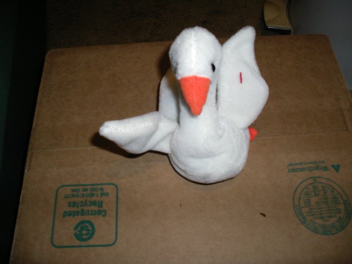 Ty Gracie Duck