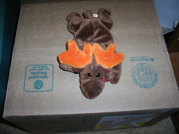 Ty Chocolate Moose