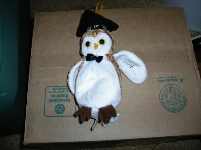 Ty Wisest Owl Class of 00
