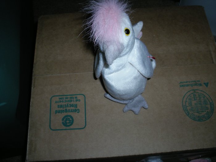 Ty Kuku Bird