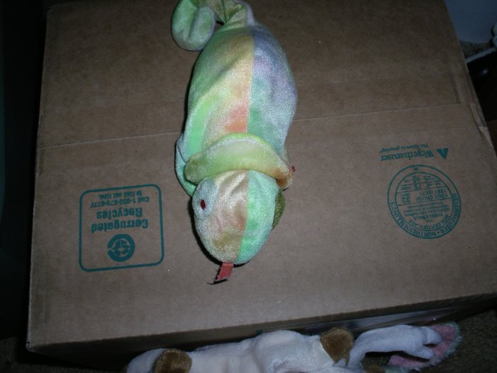Ty Rainbow Iguana