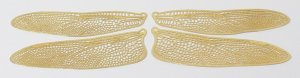 Etched BRASS True To Life Filigree Dragonfly or Fairy Wings Life size 2-1/2"