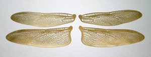 Style 1 Etched BRASS True To Life Filigree Dragonfly or Fairy Wings 2X size 5"