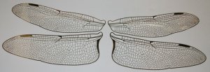 GIANT Etched COPPER True To Life Filigree Dragonfly Fairy Wings 3X size 7-1/2"