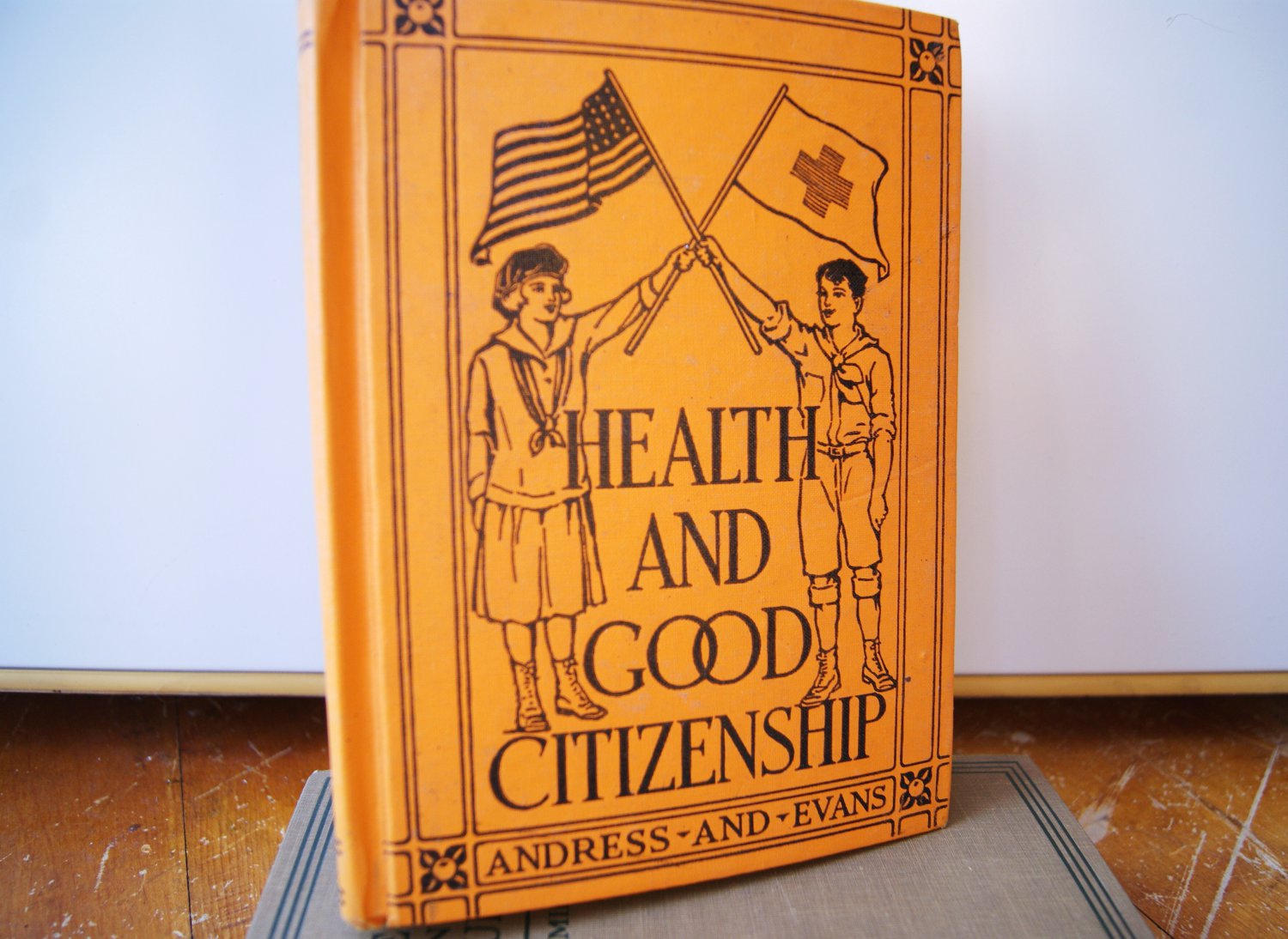 Health and Good Citizenship Vintage Student Book Manual Andress and Evans 1933