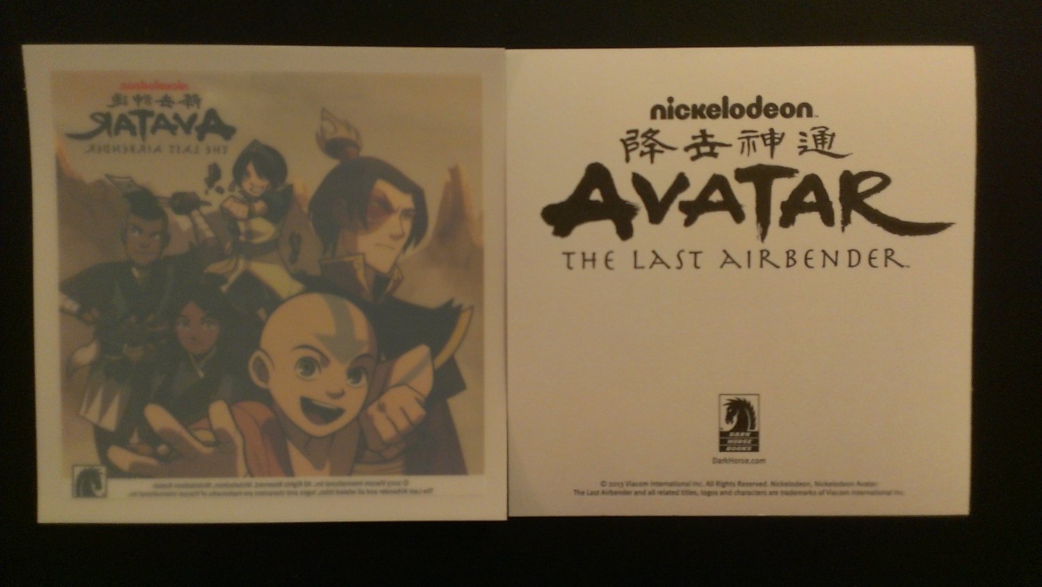 Avatar The Last Airbender Window Decal / Sticker NYCC 2013