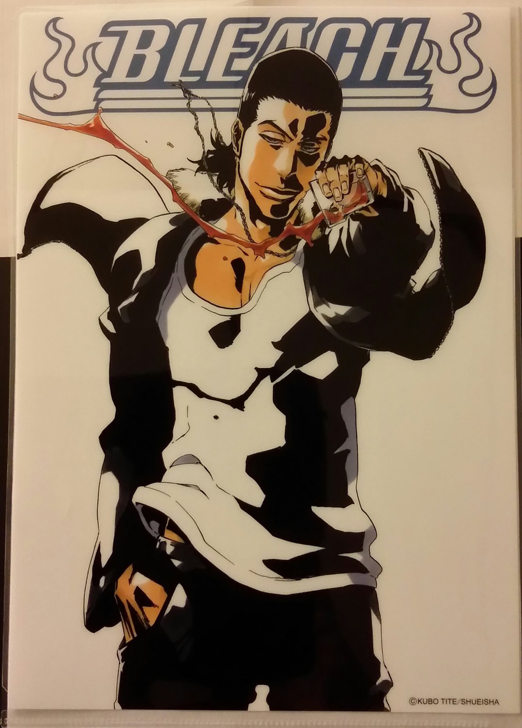 Bleach Kugo Ginjo Clear File Folder