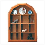 Display Case (21923)