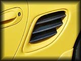 Rear Quarter Panel - Air Intakes