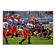 Action Shot Puzzle