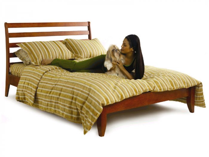 CORONADO PLATFORM BED
