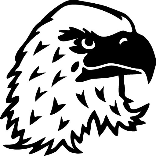 Eagle Custom Made Vinyl Sticker Decal 002, Car Decal, Bumper Sticker, Laptop Decal, Window Sticker