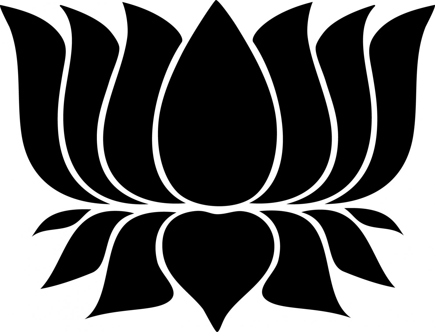 Lotus Custom Made Vinyl Sticker Decal 005, Car Decal, Bumper Sticker, Laptop Decal, Window Sticker
