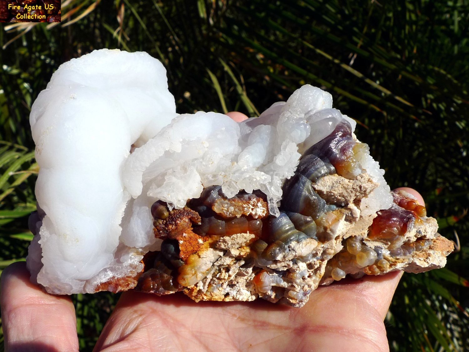 Spectacular Fire Agate Rough Gemstone Specimen Slaughter Mountain Arizona SLM029