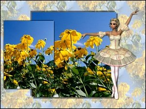 Sun Dance Desktop 800x600