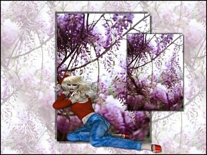 Shelter Me Desktop 800 x 600