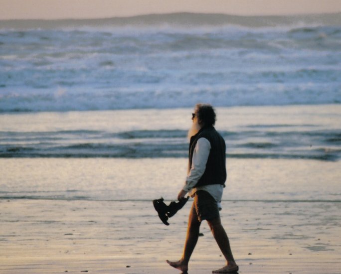 Beach Walker