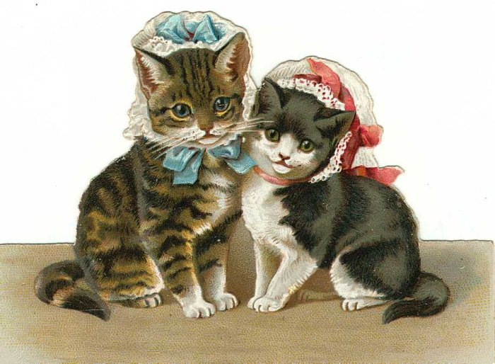 4 x 5 Cute Little Kittens Cotton Twill Fabric Block