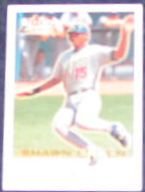 2001 Fleer Focus Shawn Green #61 Dodgers