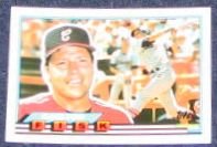 1989 Topps Big Carlton Fisk #24 White Sox