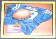 1991 Hall of Fame 58 Championship Game #116