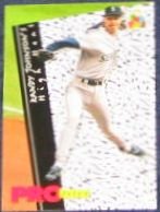 94 UD Fun Pk Profiles Randy Johnson #197