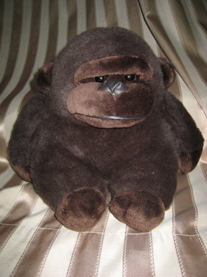 Gorilla