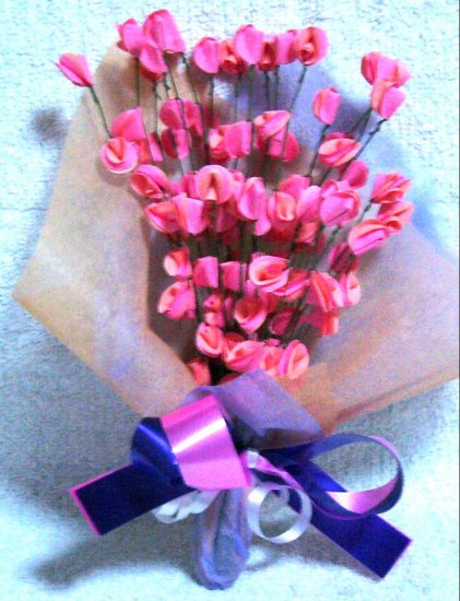 99 peach pink roses