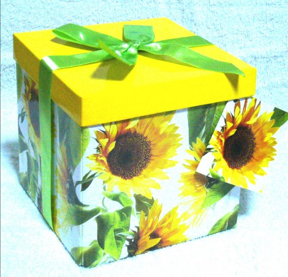 medium box 2