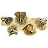 Animal