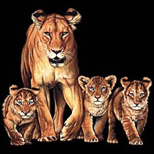 Lions