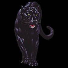 Black Panther