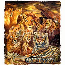 Felines Den