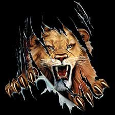 Rip Out Lion