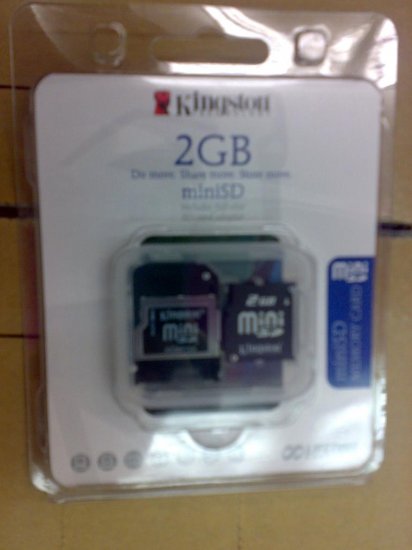 Mini SD (2GB)