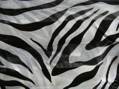 White Animal Zebra Print Scarf