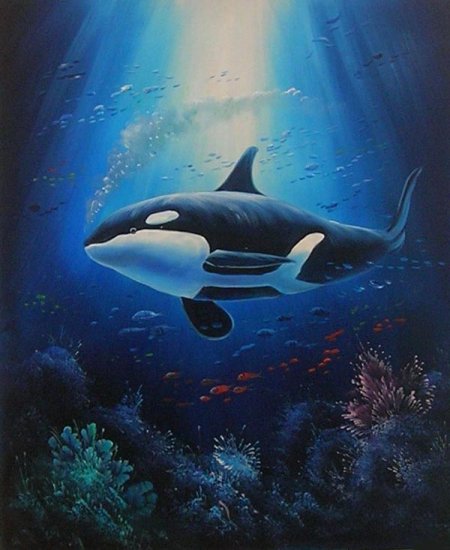 Whale