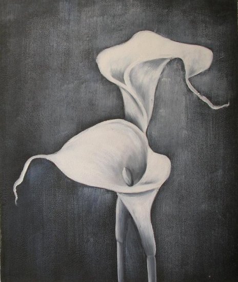 Calla