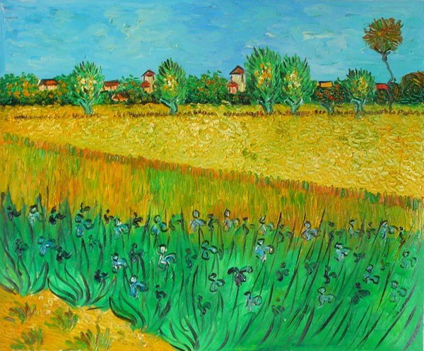 Cornfield