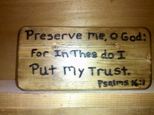 Preserve Me