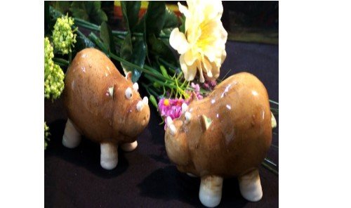 Enesco " Home Grown Hippo Salt & Pepper Shakers